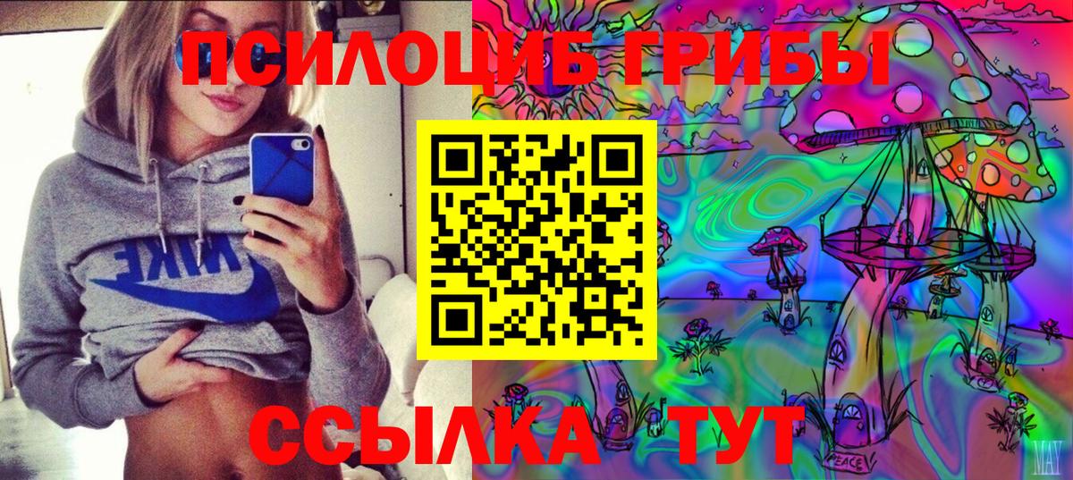 Галлюциногенные грибы GOLDEN TEACHER Жуковский
