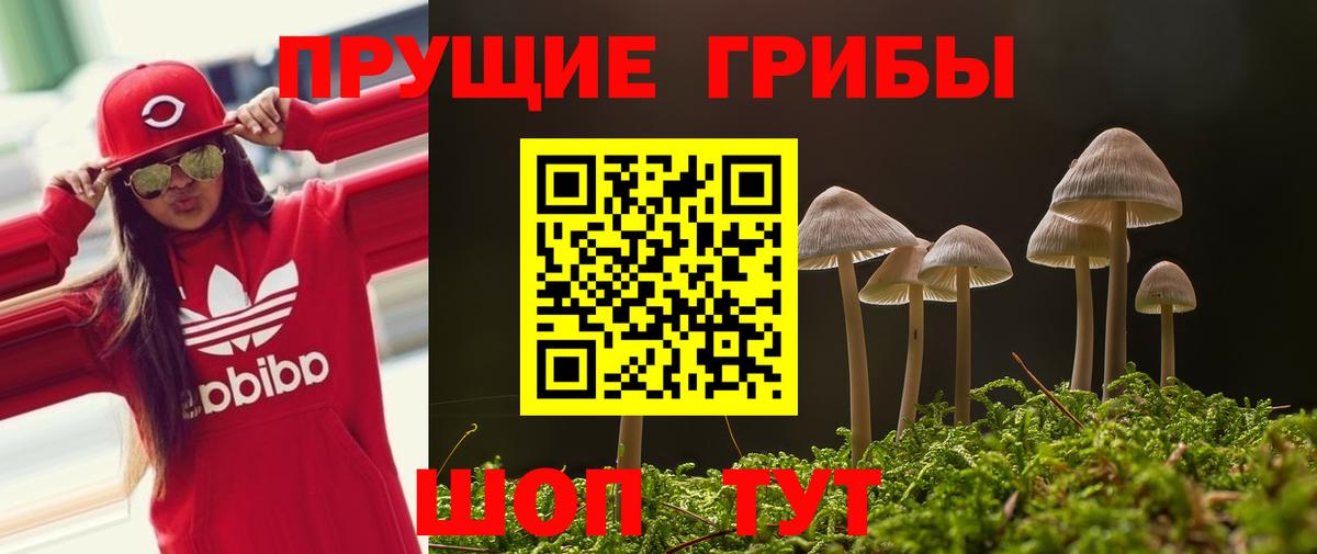 Жуковский  Псилоцибиновые грибы мухоморы  Вход с VPN  Галлюциногенные грибы мицелий 